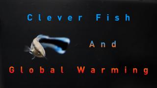 Clever Fish And Global Warming